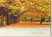 Thanksgiving Cards